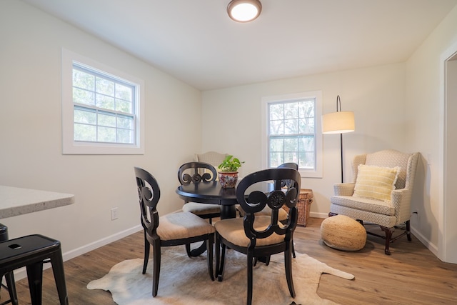 6041 NE Edmundson Rd, Hahira, GA 31632 - dining room featuring plenty of natural light, wood finished floors, and baseboards