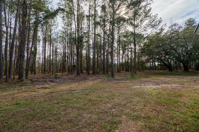 6041 NE Edmundson Rd, Hahira, GA 31632 - view of yard featuring a wooded view