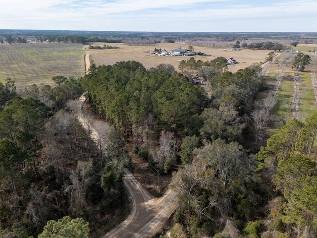 6041 NE Edmundson Rd, Hahira, GA 31632 - aerial view of property's location with rural landscape