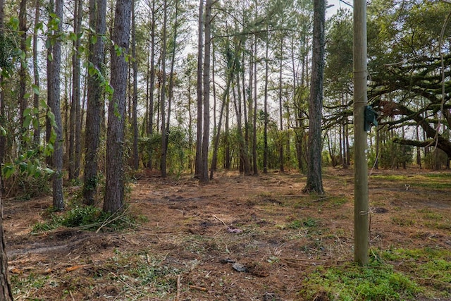 6041 NE Edmundson Rd, Hahira, GA 31632 - view of wooded area