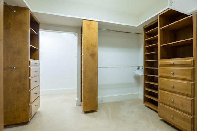 walk in closet featuring light carpet