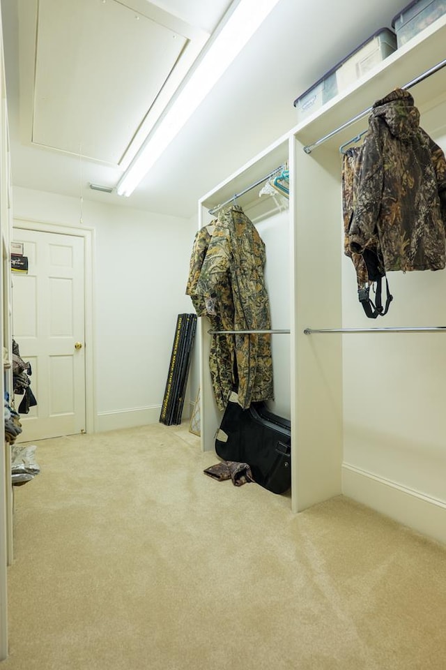 spacious closet with carpet floors