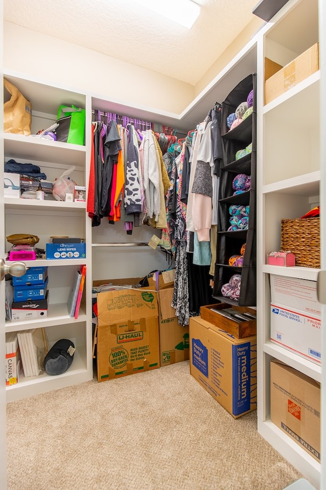 walk in closet with carpet floors