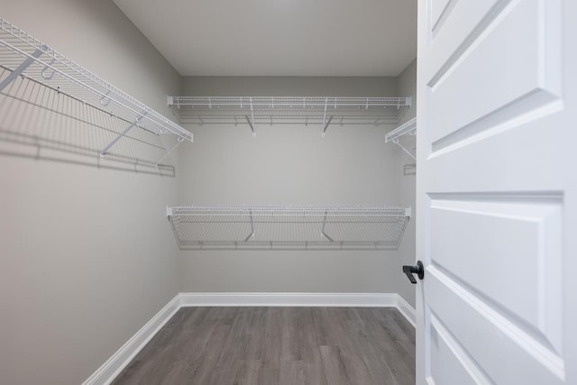 walk in closet with wood-type flooring