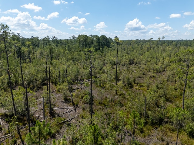 0 Union Rd, Hahira, GA 31632 - photo 7
