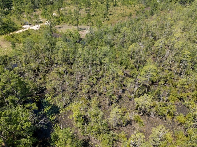 0 Union Rd, Hahira, GA 31632 - photo 17