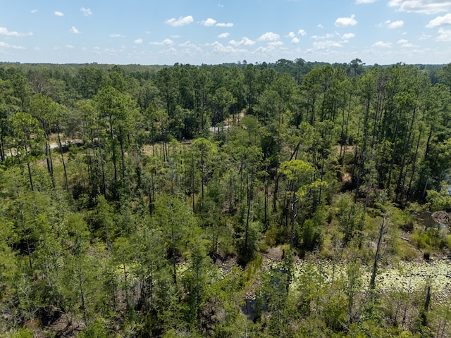 0 Union Rd, Hahira, GA 31632 - photo 9