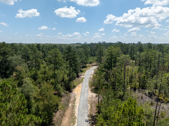 0 Union Rd, Hahira, GA 31632 - photo 5