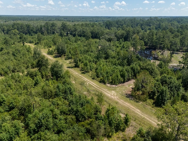 0 Union Rd, Hahira, GA 31632 - photo 24