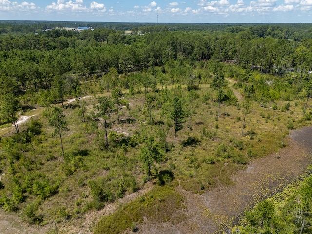 0 Union Rd, Hahira, GA 31632 - photo 19