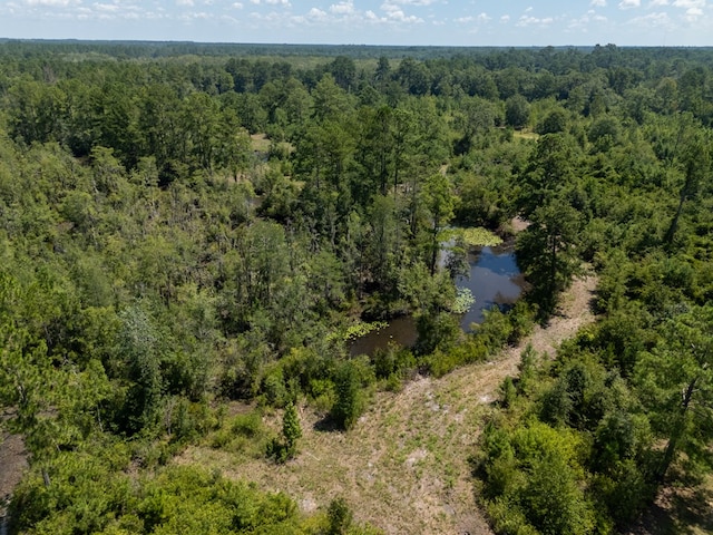 0 Union Rd, Hahira, GA 31632 - photo 21