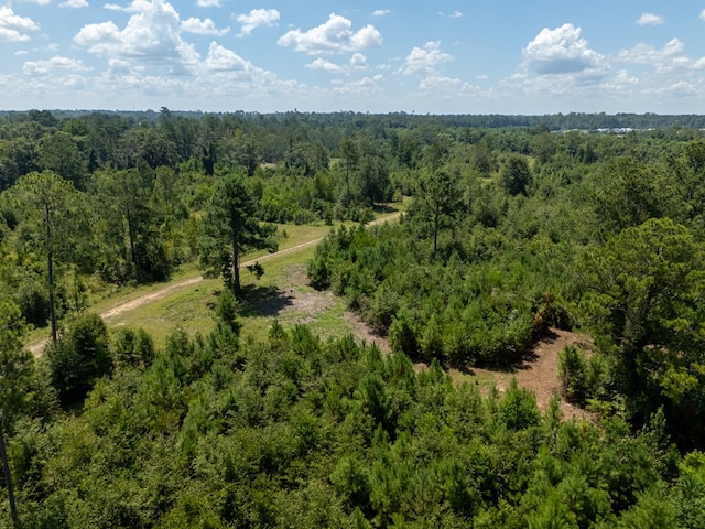 0 Union Rd, Hahira, GA 31632 - photo 14