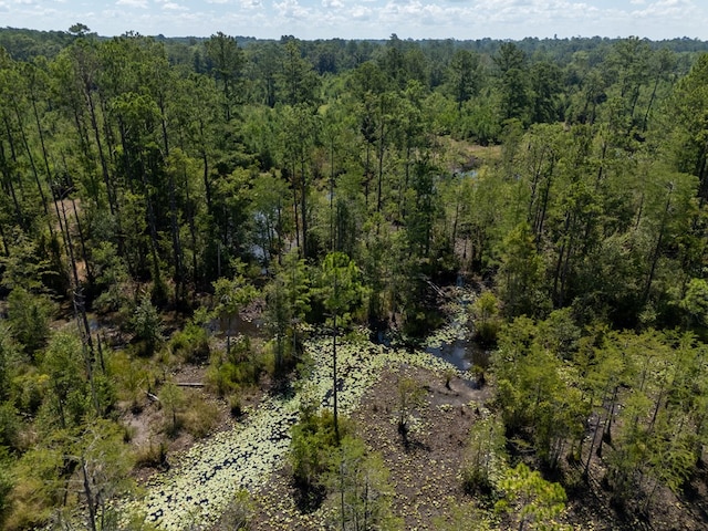 0 Union Rd, Hahira, GA 31632 - photo 10