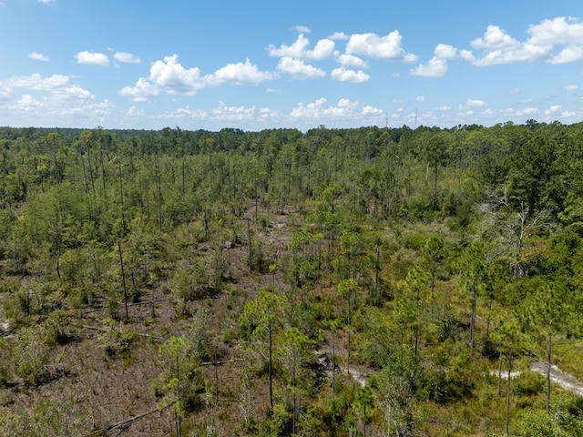 0 Union Rd, Hahira, GA 31632 - photo 8