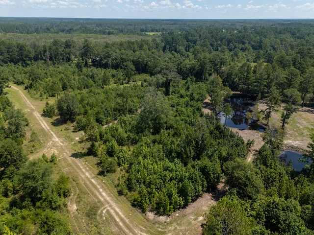 0 Union Rd, Hahira, GA 31632 - photo 26