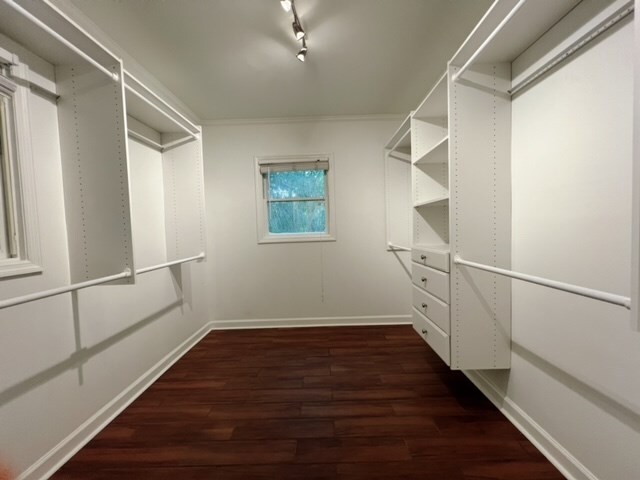 spacious closet with dark hardwood / wood-style flooring