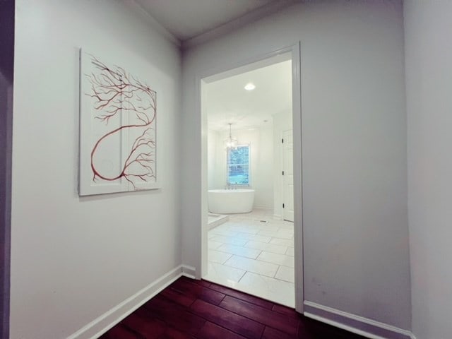 hall featuring hardwood / wood-style flooring and crown molding