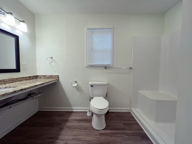 bathroom featuring vanity, toilet, and wood-type flooring