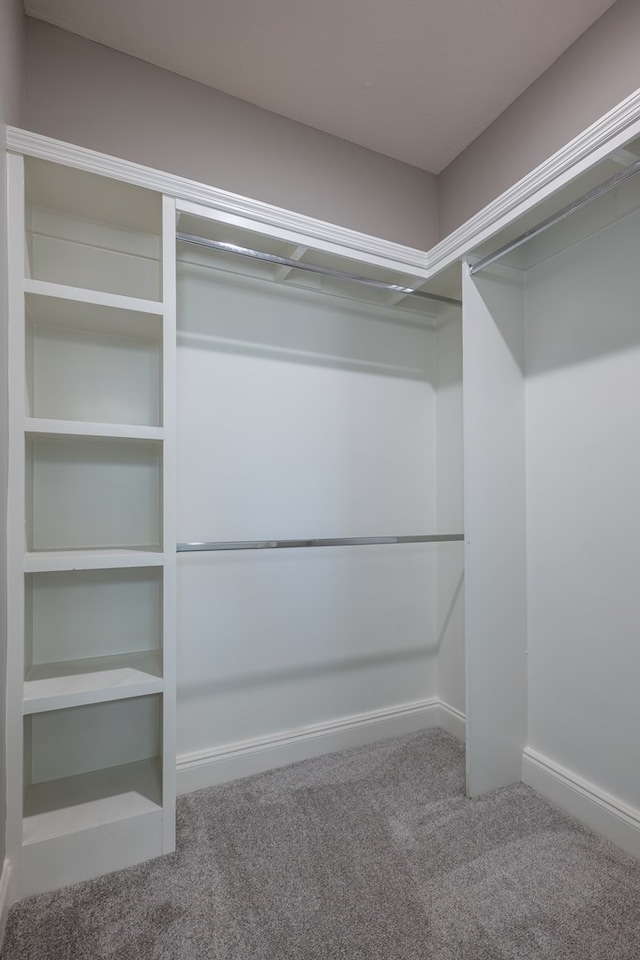 spacious closet with carpet