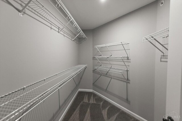 5881 Parkview Ln Unit 65303, Miami Twp, OH 45150 - photo 16