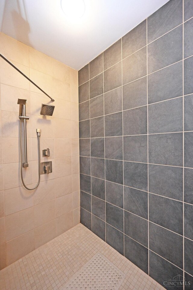 1 Mercer St Unit 204, Cincinnati, OH 45202 - bathroom with tiled shower