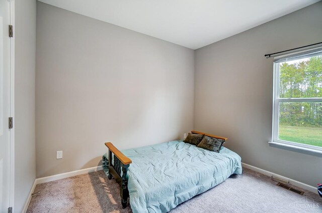 61 Goldfish Ln, Pierce Twp, OH 45102 - carpeted bedroom featuring multiple windows and baseboards