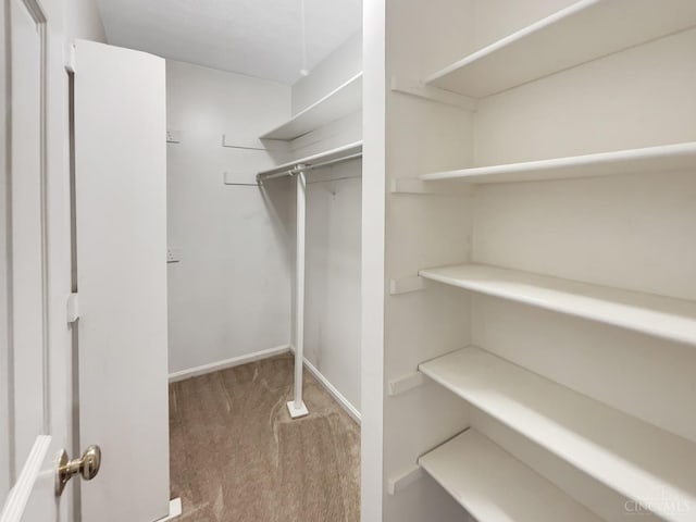 spacious closet with carpet flooring