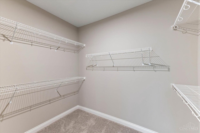 4517 Renaissance Park Dr, Middletown, OH 45005 - walk in closet featuring carpet floors