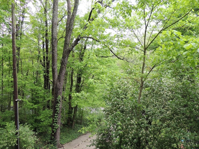 770 Sutton Rd, Anderson Twp, OH 45230 - view of wooded area