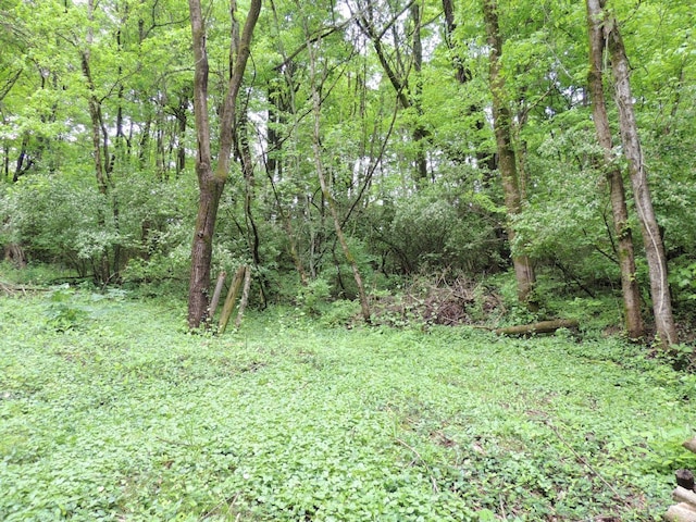 770 Sutton Rd, Anderson Twp, OH 45230 - view of wooded area
