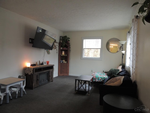 770 Sutton Rd, Anderson Twp, OH 45230 - carpeted living area featuring a textured ceiling
