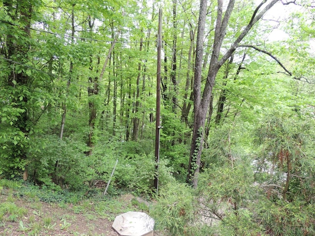 770 Sutton Rd, Anderson Twp, OH 45230 - view of wooded area