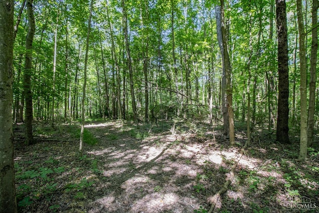 0 Linton Rd, Goshen Twp, OH 45122 - photo 9