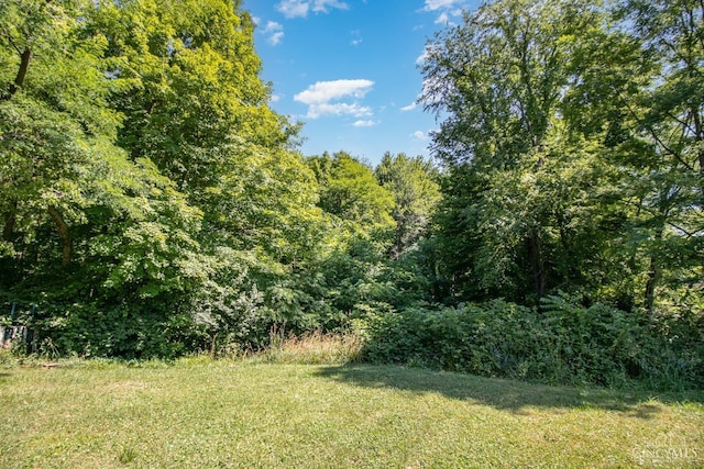 0 Linton Rd, Goshen Twp, OH 45122 - photo 2