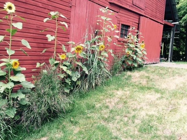 1144 Round Bottom Rd, Union Twp, OH 45150 - exterior space