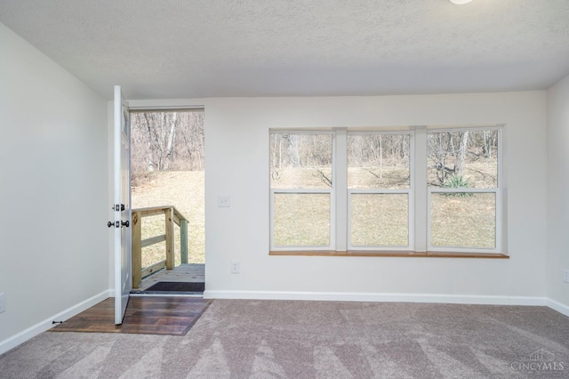 5103 Washburn Rd, Brushcreek Twp, OH 45133 - entryway with carpet, baseboards, and a textured ceiling
