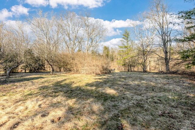 6114 Reily Millville Rd, Reily Twp, OH 45056 - view of yard with a rural view