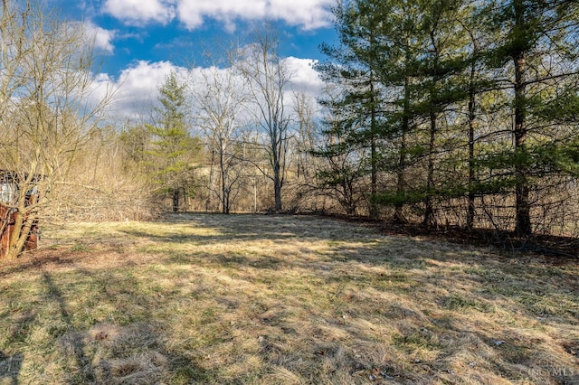 6114 Reily Millville Rd, Reily Twp, OH 45056 - view of yard