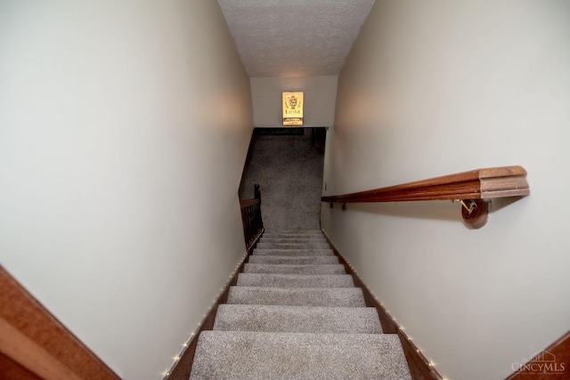 343 Whiteoak Dr, Wilmington, OH 45177 - staircase featuring a textured ceiling and carpet