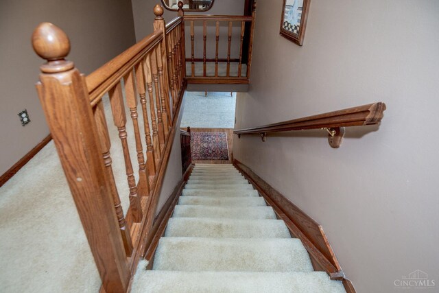 343 Whiteoak Dr, Wilmington, OH 45177 - staircase featuring carpet flooring and baseboards