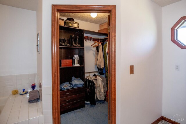 343 Whiteoak Dr, Wilmington, OH 45177 - view of closet