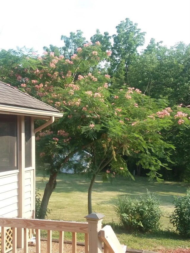 343 Whiteoak Dr, Wilmington, OH 45177 - view of yard