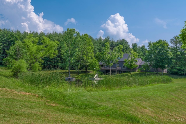5553 Stonelick Williams Corner Rd, Stonelick Twp, OH 45103 - photo 40