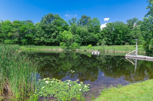 5553 Stonelick Williams Corner Rd, Stonelick Twp, OH 45103 - photo 41