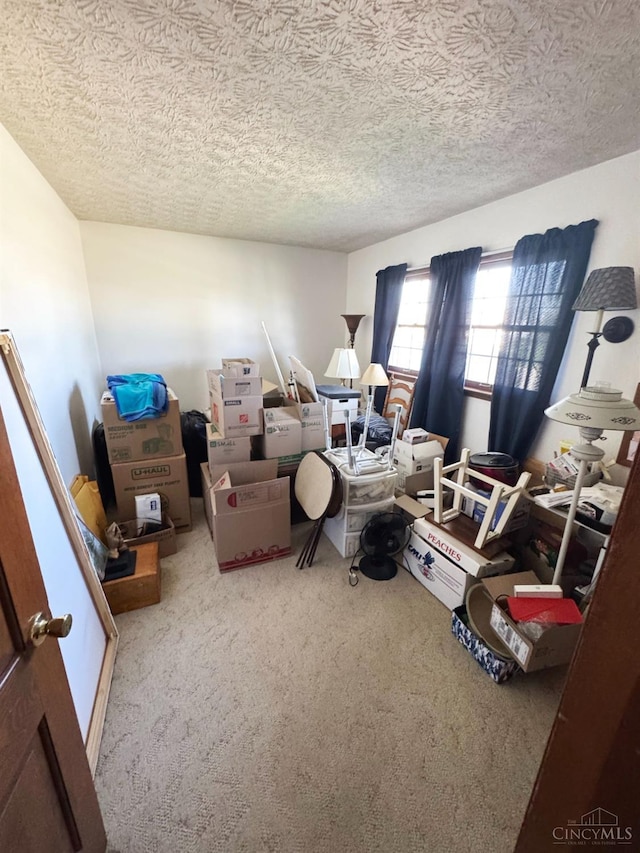 interior space featuring carpet and a textured ceiling