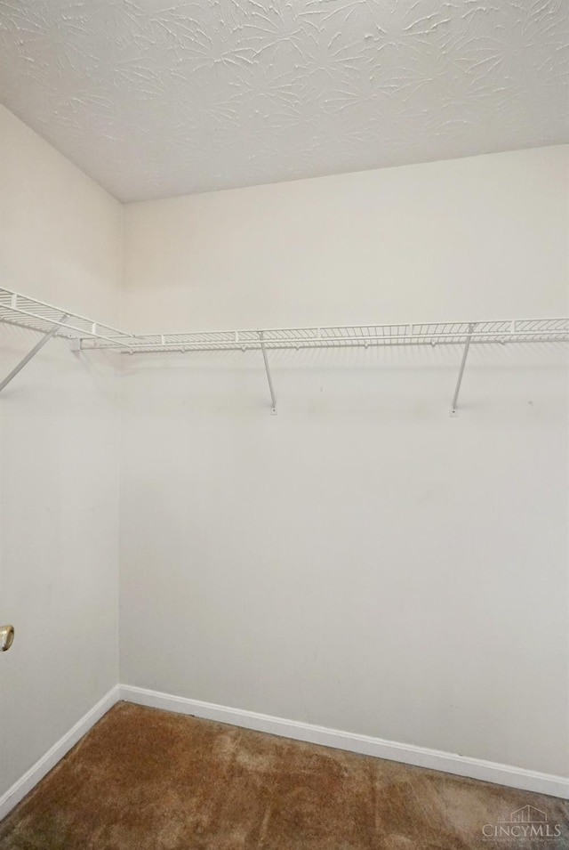 7918 Jessies Way Unit 201, Fairfield Twp, OH 45011 - walk in closet with carpet