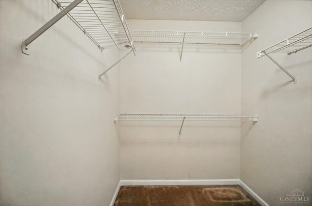 7918 Jessies Way Unit 201, Fairfield Twp, OH 45011 - view of spacious closet
