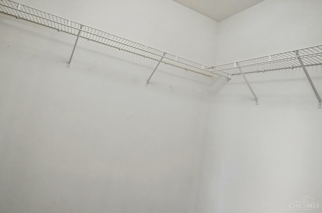 7918 Jessies Way Unit 201, Fairfield Twp, OH 45011 - view of walk in closet