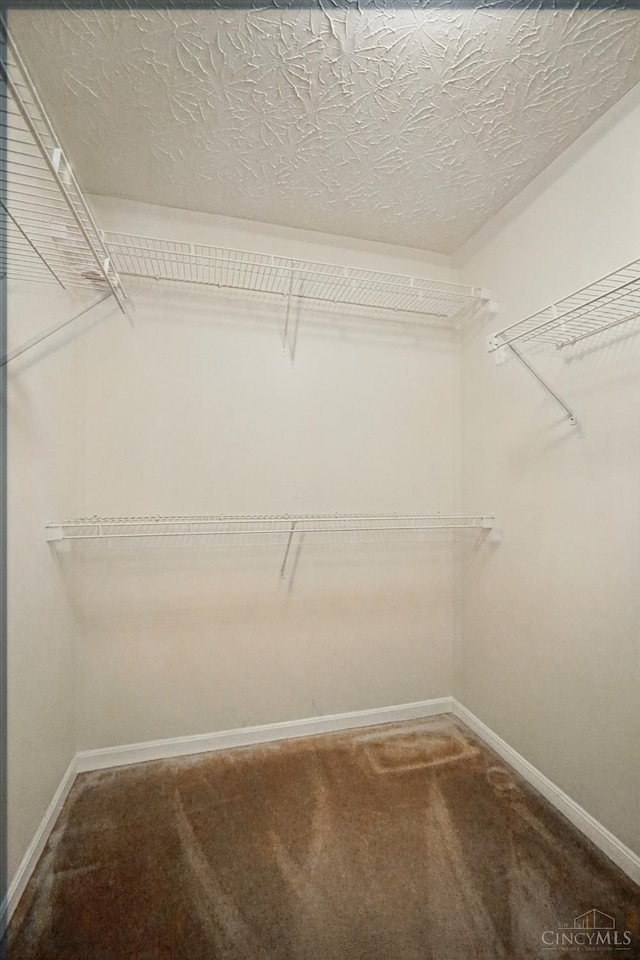 7918 Jessies Way Unit 201, Fairfield Twp, OH 45011 - walk in closet with carpet
