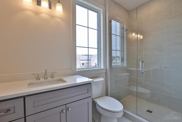 bathroom with toilet, vanity, plenty of natural light, and a shower stall